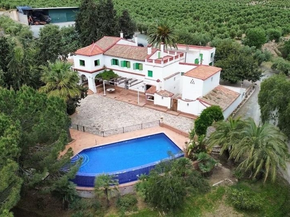 in Spain